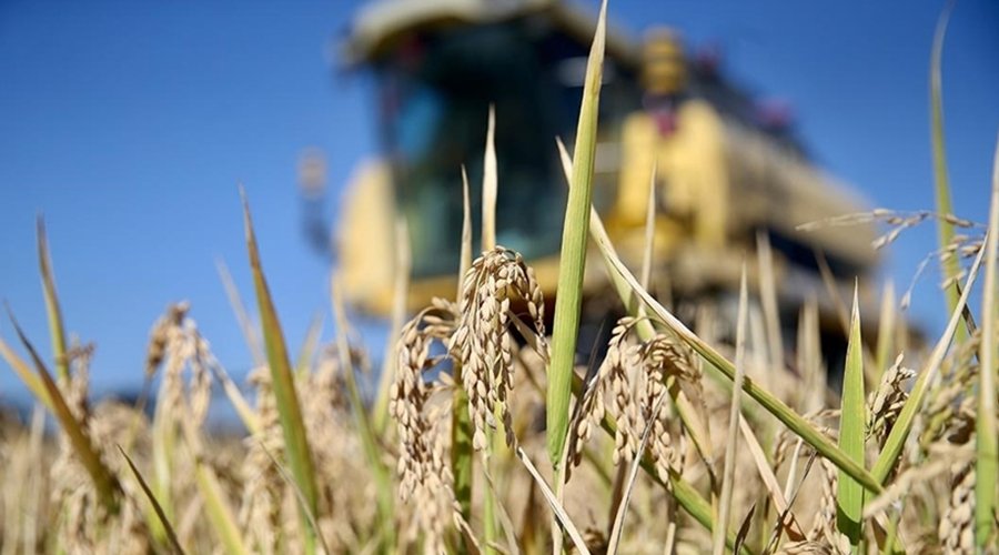 Tarım Sektöründe Yeni Dönem Başladı