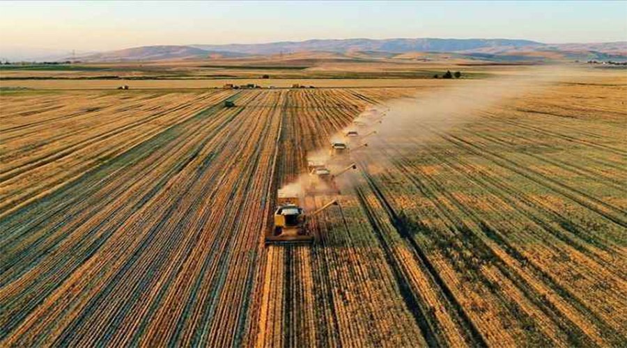 Tarım Sektöründen İhracat Rekoru