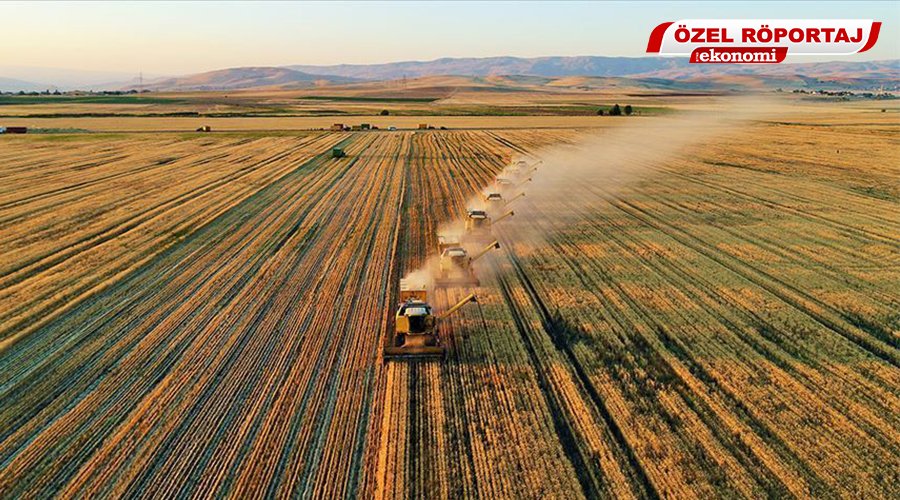 ‘Türkiye, Tahılda Zor Oyunu Bozar’